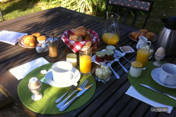 Breakfast- Agnates